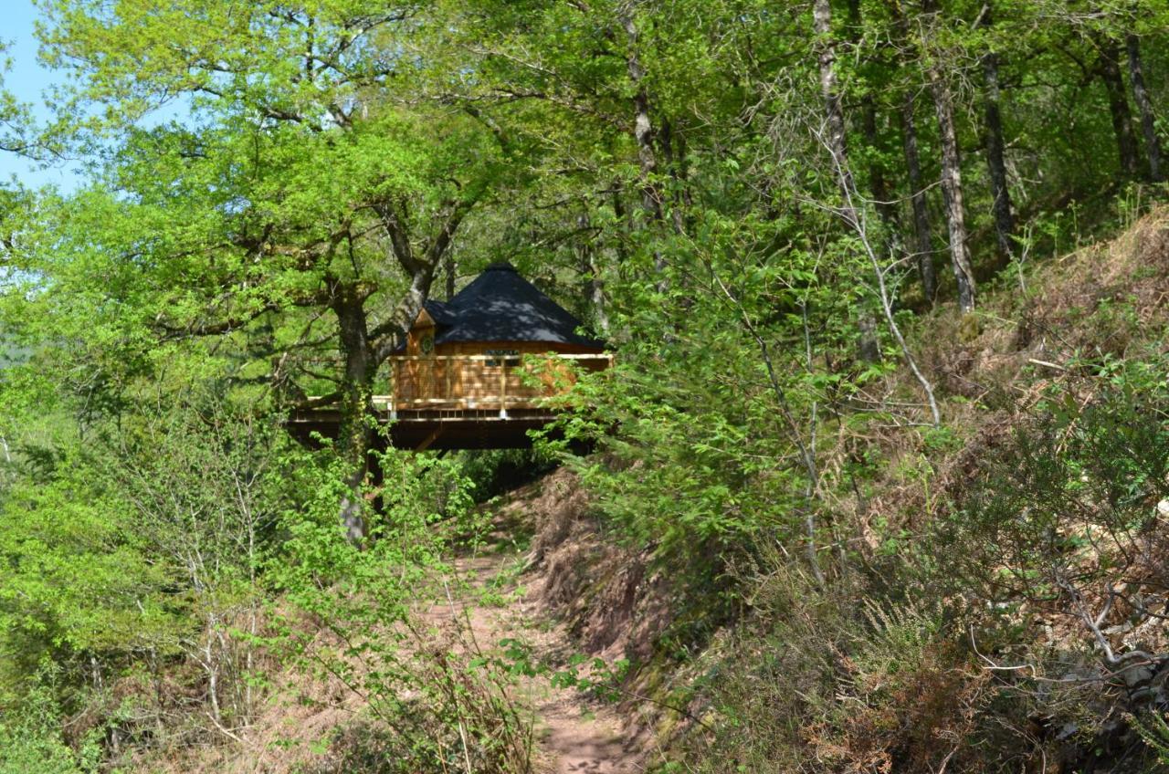Ma Cabane En Aveyron Conques-en-Rouergue Exterior photo